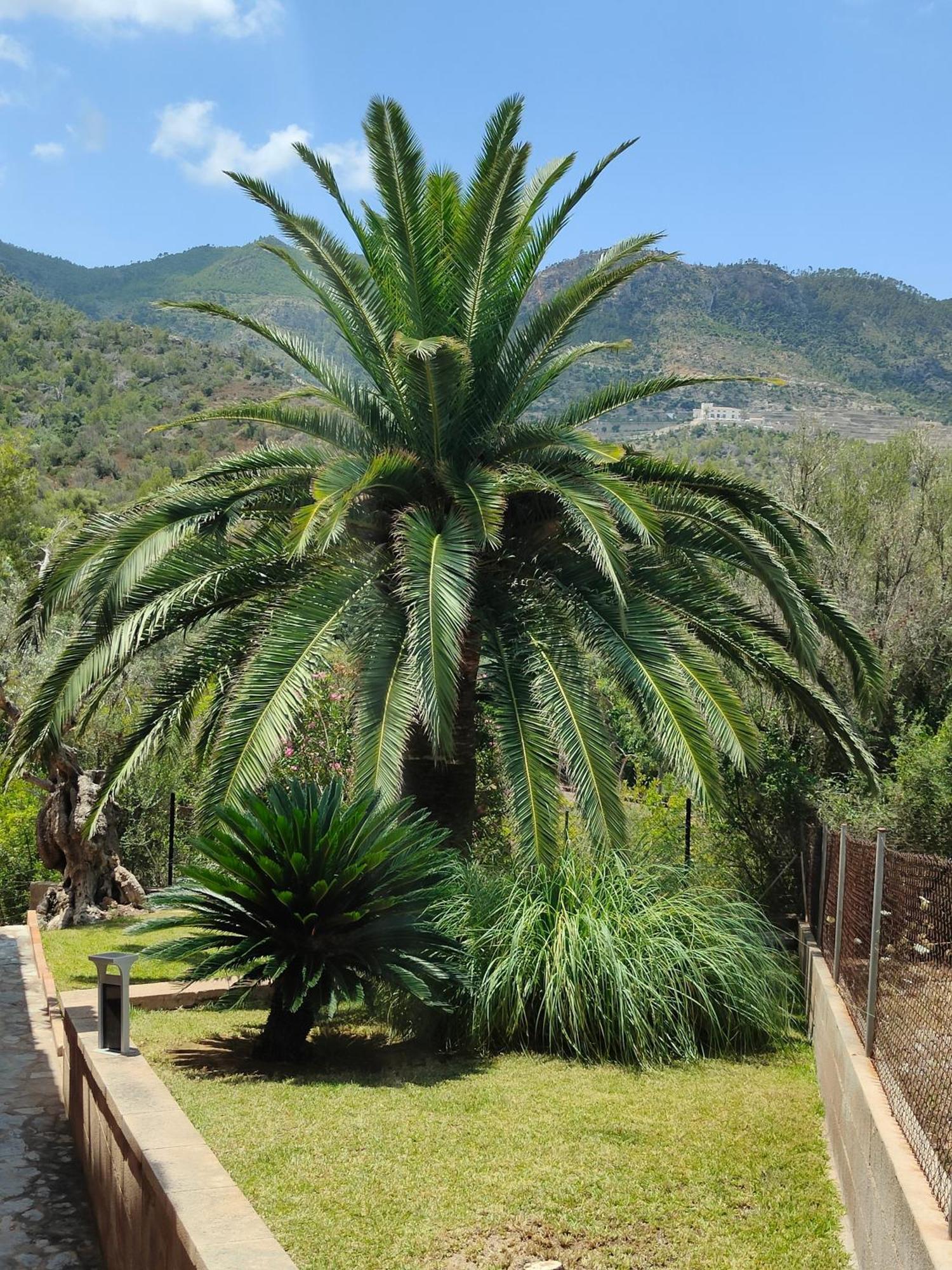 Capllonch Holiday home Banyalbufar